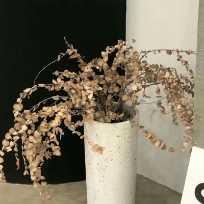 Furry插画氛围营造兽圈社群